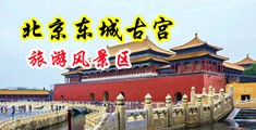 男人jj插女人bb啊哈啊哈啊哈啊啊啊啊中国北京-东城古宫旅游风景区
